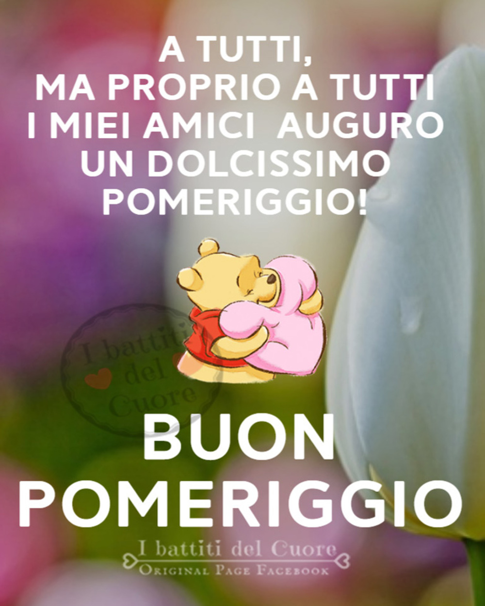 48 Immagini Nuove Buon Pomeriggio MeravigliosoBuongiorno It