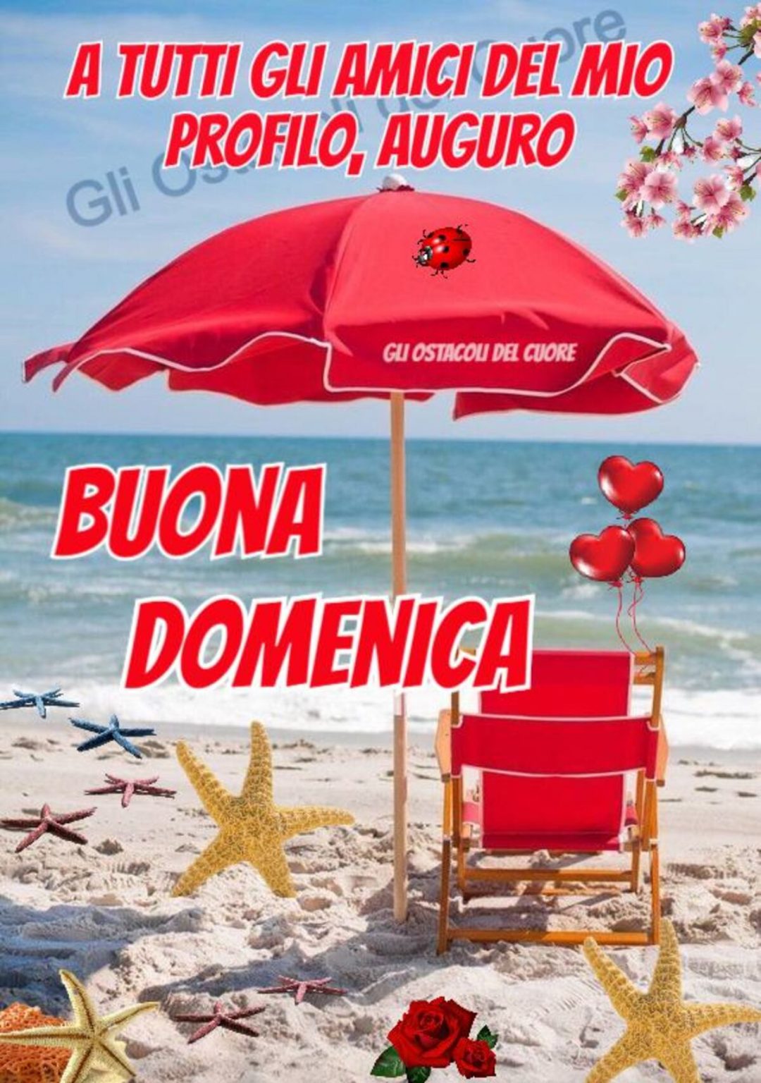 Immagini Buona Domenica Meravigliosobuongiorno It