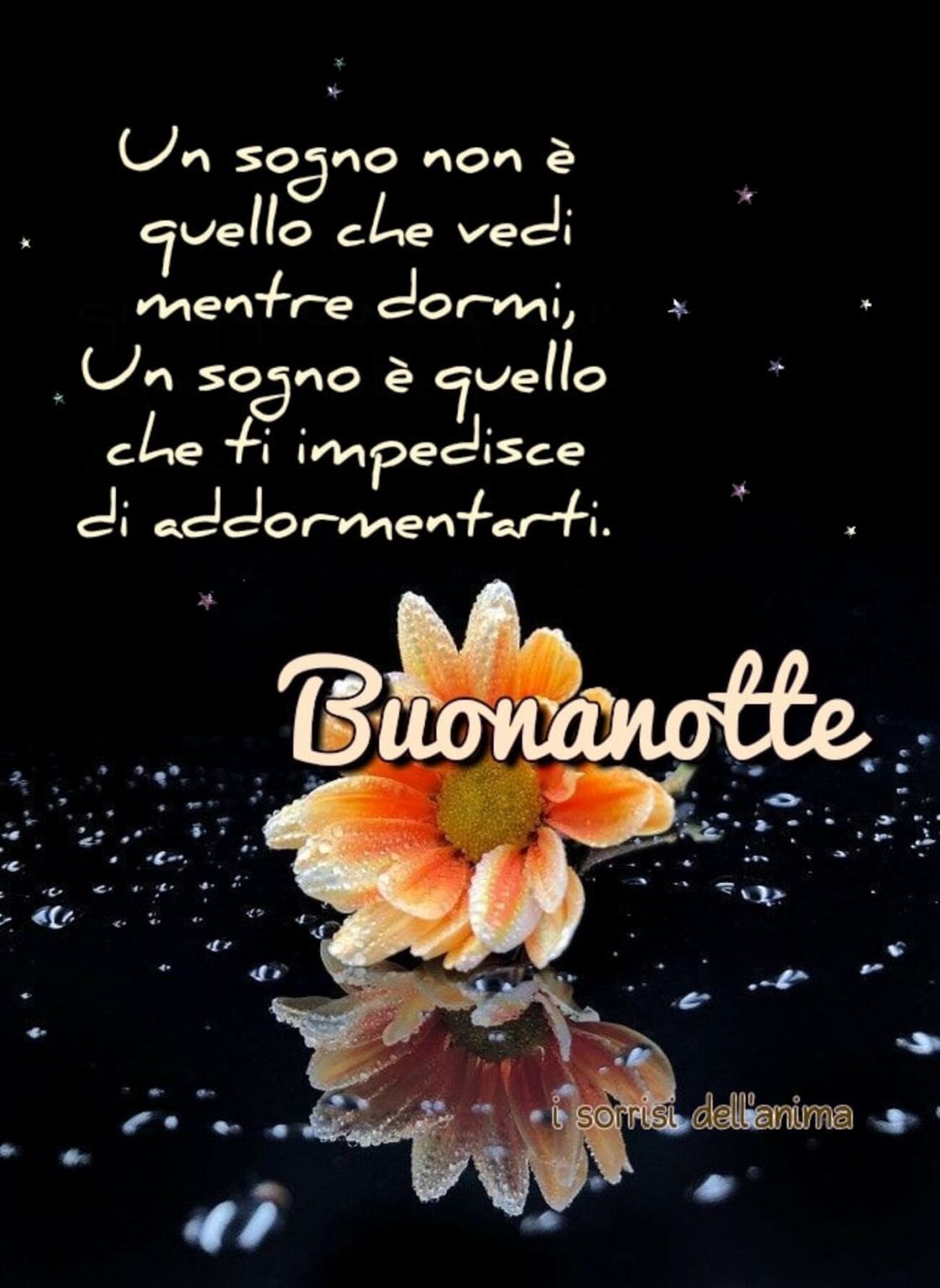 53+ Immagini Con Frasi Di Buonanotte Belle - MeravigliosoBuongiorno.it