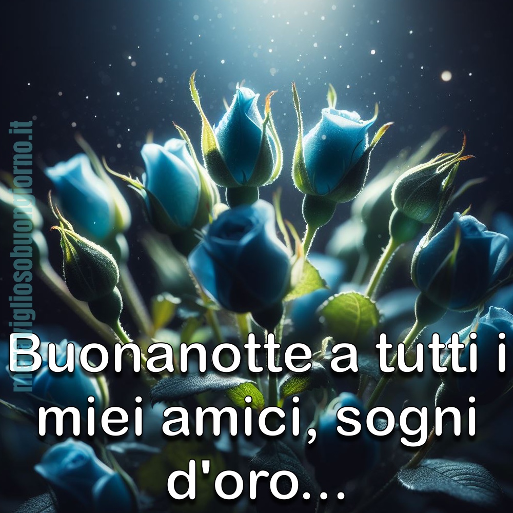 Buonanotte a tutti i miei amici, Sogni d'Oro!