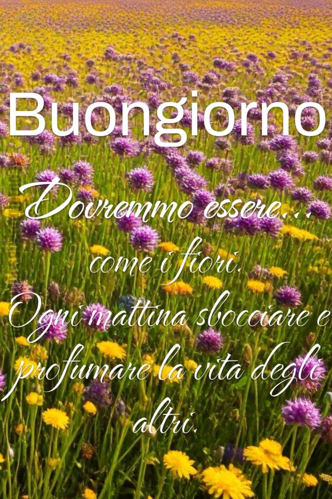 Buongiorno. Dovremmo essere... come i fiori. Ogni mattina sbocciare e profumare la vita degli altri.